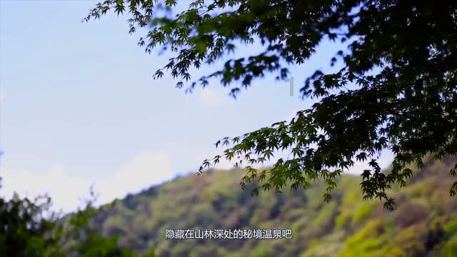 陈仪策反汤恩伯失败后:死前反复念叨6字,30年后国家18字评价他