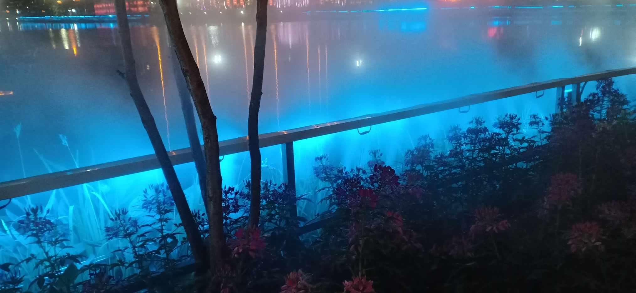 可爱南瓜救援精灵